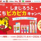 【ツルハグループ×サンスター】しまじろうグッズが当たるクローズドキャンペーン