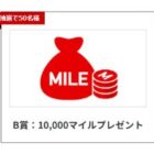 国内線往復航空券 / 10,000マイル  / 500マイル
