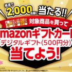 Amazonギフトカード 500円分