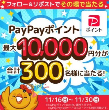 PayPayポイント最大10,000円分が300名様に当たるキャンペーン