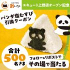 ほんのり屋 パンダ塩むすび引換クーポン