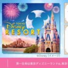 ディズニーリゾート・パークチケット / ミッキー・ミニーぬいぐるみバッジ