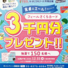 【フィール×はごろもフーズ】3,000円分のフィールさくらカードが当たるキャンペーン