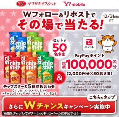 チップスターセット＆PayPayポイント2,000円分が当たる毎日応募Xキャンペーン