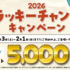 5,000円分のQUOカードPayがもらえるタカラレーベンの来場キャンペーン