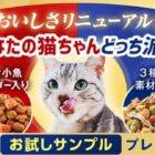 1,000名様に銀のスプーンのサンプルが当たるキャンペーン