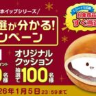 オリジナルクッション / えらべるPay 1,000ポイント