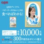 えらべるPay 300円相当