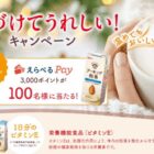 えらべるPay3,000ポイントが当たるグリコのクローズドキャンペーン