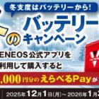 えらべるPay 最大10,000円分