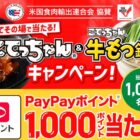 PayPayポイント 1,000ポイント
