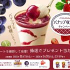 パナップ詰め合わせやえらべるPayが当たるグリコのクローズドキャンペーン