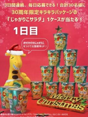 じゃがりこ サラダ1ケースが当たるクリスマスキャンペーン