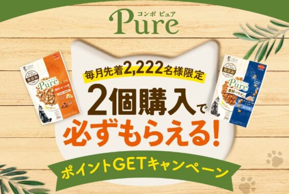 先着当選もアリ!えらべるPayが当たるレシートキャンペーン