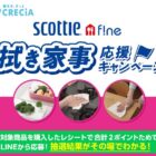 QUOカードPay1,000円分が1,000名様にその場で当たるレシートキャンペーン