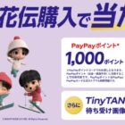 TinyTANデザインドリンクチケット / PayPayポイント 1,000ポイント