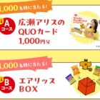 広瀬アリスQUOカード 1,000円分 / エアリアル＋エアリッスぬいぐるみ