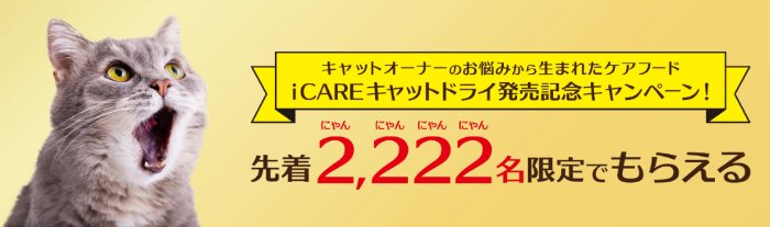 先着当選！i CARE キャットドライがお試しできるキャンペーン