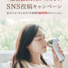 最大50万円 / MiRAYシリーズ