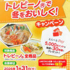 【コーナン×東レ】えらべるPay5,000ポイントが当たるクローズドキャンペーン