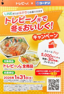 【コーナン×東レ】えらべるPay5,000ポイントが当たるクローズドキャンペーン