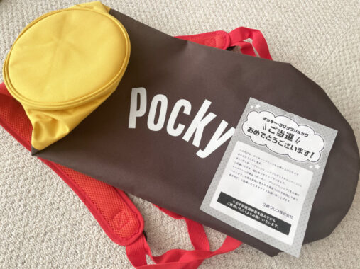 西友×グリコのキャンペーンで「ポッキー・プリッツリュック」が当選
