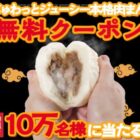 じゅわっとジューシー本格肉まん 引換クーポン