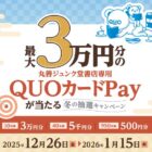 丸善ジュンク堂書店専用QUOカードPay 最大30,000円分
