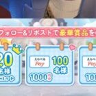 えらべるPay 最大1,000円分 / 公式グッズ