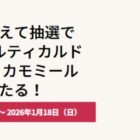 Delonghi オイルヒーター / QUOカード 1,000円分