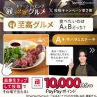 10,000円相当のPayPayポイントが当たる豪華X懸賞