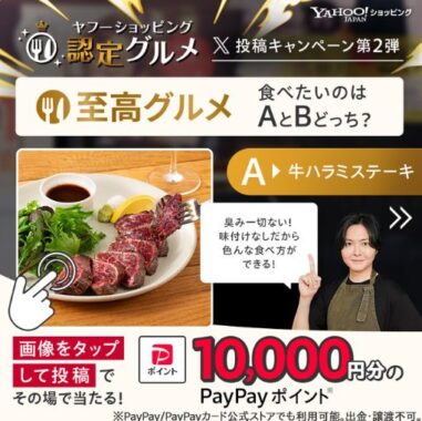 10,000円相当のPayPayポイントが当たる豪華X懸賞