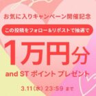 and ST ポイント 1万円分
