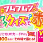 QUOカードPay 500円分