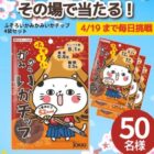 ふぞろいかみかみいかチップ