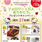 サンリオピューロランドパスポートやBRUNOホットプレートも当たるInstagram懸賞