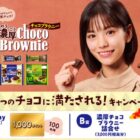 濃厚チョコブラウニー詰め合わせやえらべるPayが当たるブルボンのレシート懸賞