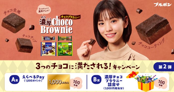 濃厚チョコブラウニー詰め合わせやえらべるPayが当たるブルボンのレシート懸賞