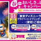 ディズニー プライベート・イブニング・パーティー招待券 他