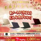 PayPay2,000円分が100名様に当たる毎日応募Xキャンペーン