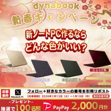 PayPay2,000円分が100名様に当たる毎日応募Xキャンペーン