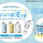 プチネーム Animal Egg