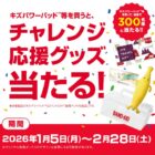 JTBトラベルギフト 30,000円分 / おこめギフト券 5,000円相当 / クッション 他