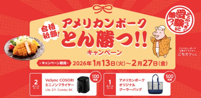 ミニノンフライヤーやクーラーバッグが当たるレシートキャンペーン