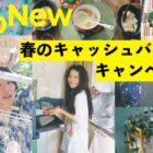 最大5,000円分のキャッシュバックがもらえるハイアールのお得なキャンペーン