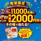 PayPayポイント 2,000円分