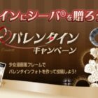 シーバデュオ全味種類+レストランギフト 他