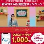 QUOカードPay 1,000円分