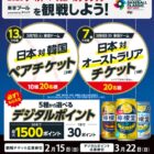 2026ワールドベースボールクラシック観戦チケット / デジタルポイント 30ポイント