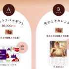 JTBトラベルギフト 30,000円分 / 新垣結衣カレンダー